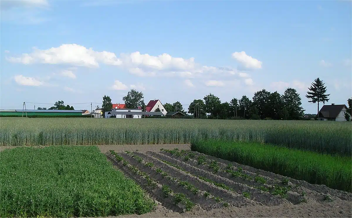 Les meilleurs engrais technologiques avec Timac Agro