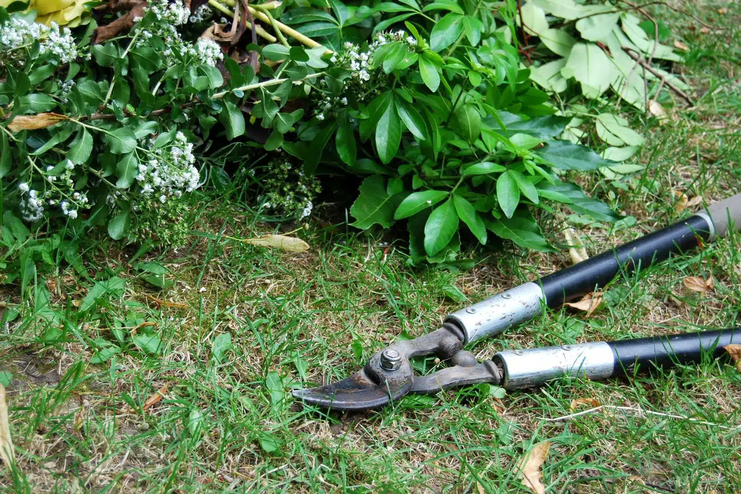 Périodes de vacances : à qui confier l’entretien de son jardin ?